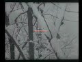 Jazhinca 1960 Part 2