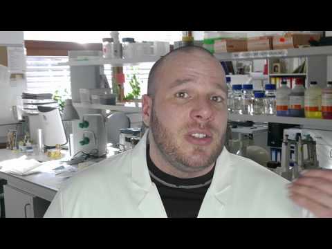 Was macht eigentlich Glutamin?!