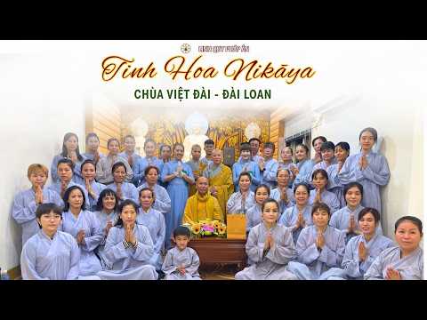 Tinh Hoa NIKAYA- Khổ & Thương - Quy Kính Tam Bảo -Trân Quý Hiện Tại -Thiền Hạnh Phúc - Cách Lạy Phật