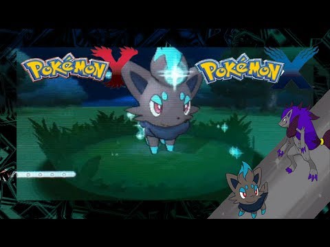 how to get zorua in pokemon x