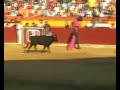 Vaquillas 3er dia encierros san roque 06 calatayud Vaquillas 3er dia encierros san roque 06 calatayud