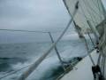 videos de Regata Buquebus 2008