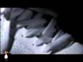 Self-Tying Shoelace