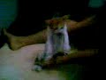 YouTubeサムネイル[pPU8xM5o2ug] - 2枚目
