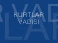 kurtlar vadisi ali cakir