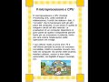 Progetto Pon Alfabetizzazione Informatica - Doppio Clik Progetto Pon Alfabetizzazione Informatica - Doppio Clik