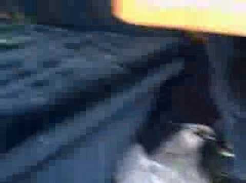 chevy parts chevy parts