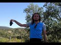 Camino de Santiago: Alicante - S. Compostela (1200 Kms)