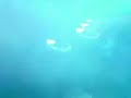 green-velvet-detroit-fuse-2005.html