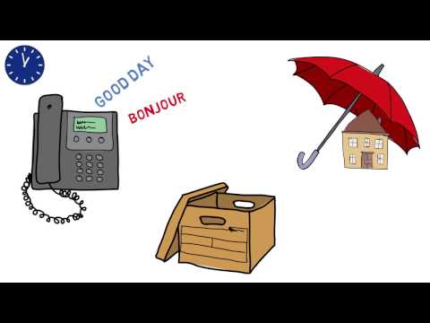 Article Video