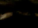 coal mine