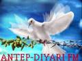 Izollu Memet Sitilamine K�rtce Uzun Hava DJ KILIC