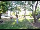 renaissance video project