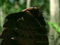 Caminando Entre Monstruos: Vida Antes de los Dinosaurios (1)