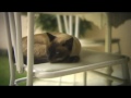2� teste dof adaptor