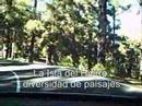 ejemplares de r4 r5 r6 y r7 en el hierro rep 