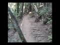 Muir Woods - October 24, 2008