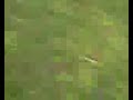 Click here to watch this video Smoke grenade