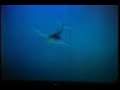 Early NORAD Info Film Featuring CF-101 Voodoos