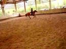 voilou le magnifique concour d'aur�lia et farceur malheureusement elle n'a pas �t� class�e car elle a fait un refus snifs snif