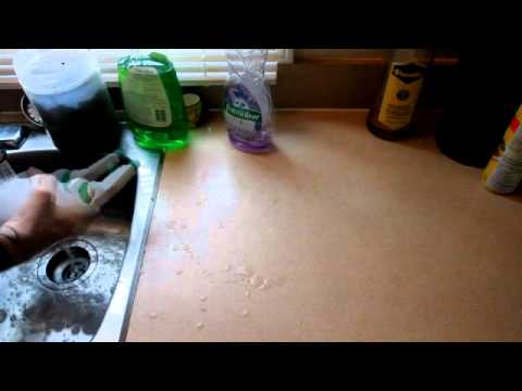 how to get rid of ants i kitchen