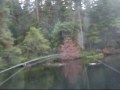 Chum Dog Salmon fishing Rivers Inlet Duncanby Lodge