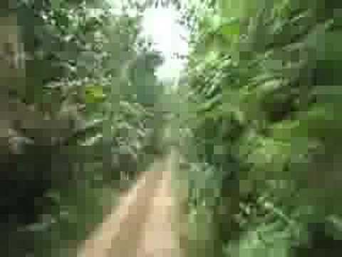 Mountain tracks in Gabon!