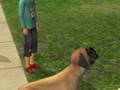 Sims 2 Murder