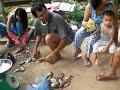 Jerry xem lam ca' o Tay Ninh