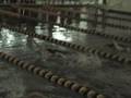 videos de 11-15-08 Anniston Swimming Freestyle