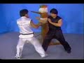 Wong Daatmau (Tat Mau Wong / ???) - Wooden dummy techniques