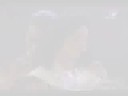 When We All Believe (Love From Jersey) [FanVid]