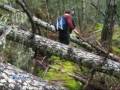Sooke Pipeline The Movie