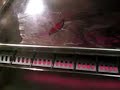 Watermelon Shrinky Dink
