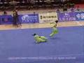 Wushu Dui Lian: Fearless