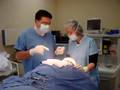 videos de hair transplantation-dr. kamal saleh-alemdi hospital-qatar-ز