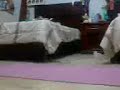 triple fold practise again triple fold practise again