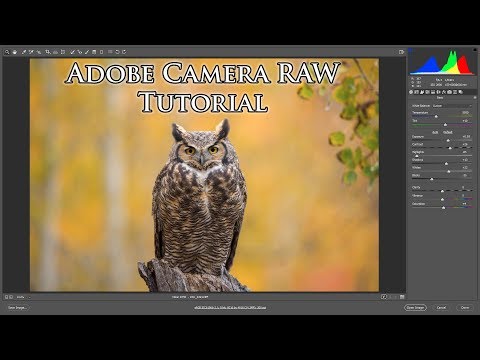 Adobe Camera RAW - Tutorial
