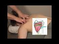 Infraspinatus massage and  release.