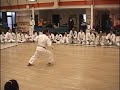 Nagamine Takayoshi Sensei Fukyugata Ichi, Rohai