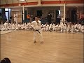 Nagamine Takayoshi Sensei Fukyugata Ichi, Rohai