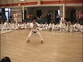 Nagamine Takayoshi Sensei Fukyugata Ichi, Rohai