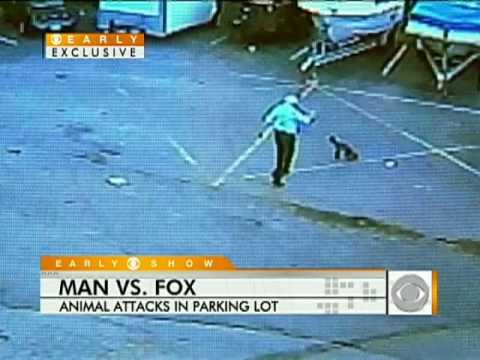Bekijk hier de video
