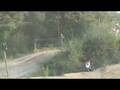 Honda 450 CRF 2008
