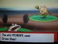 New shiny pokemon