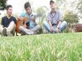 DENTRO DE MI-ALTAVOZ