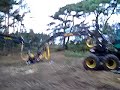 Hoge Veluwe