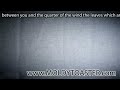 between you and the quarter of the wind the leaves which ar.mov