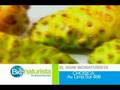 Noni