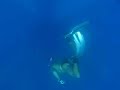 Davide Carrera in a skandalopetra dive